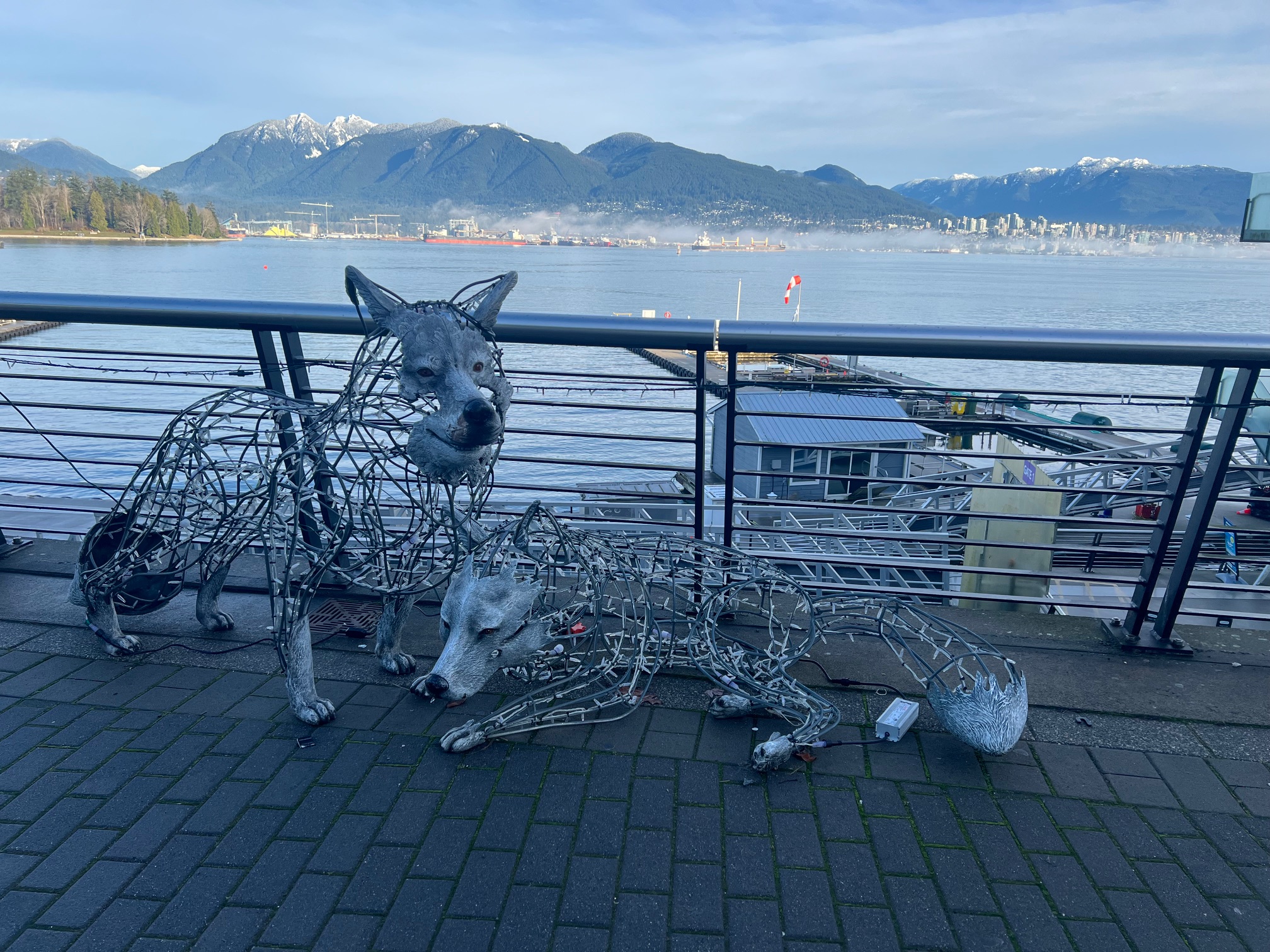 Vancouver_20250116